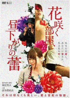 青苹果之恋免费观看